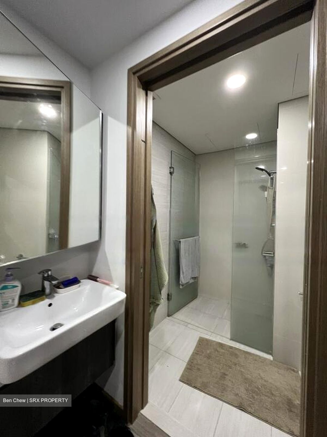 Lakeville (D22), Condominium #426912461